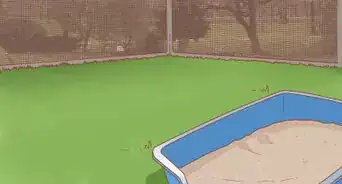 hacer que un gato haga sus necesidades afuera